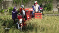 Special Report - Panen Rezeki Petani Metropolitan